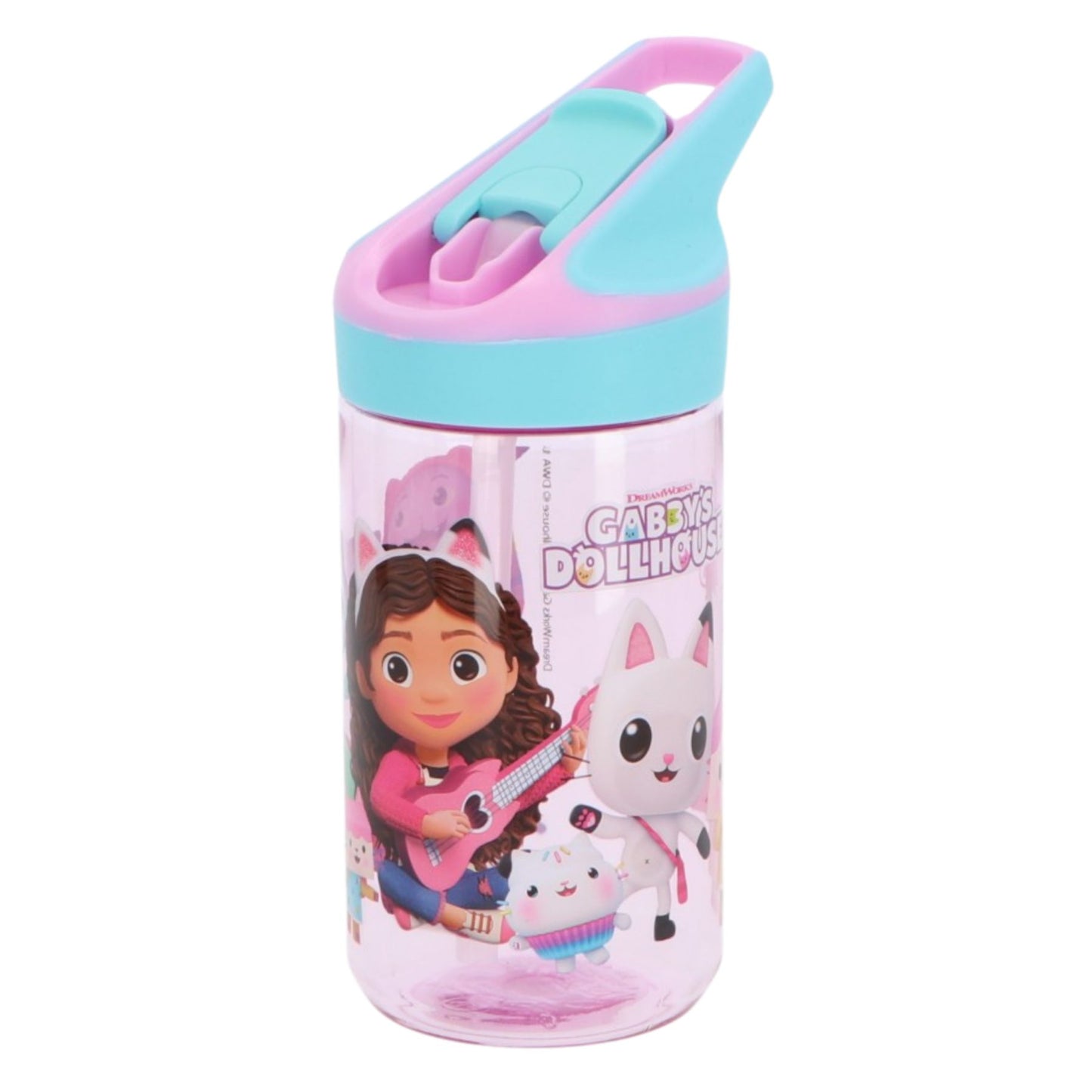 Gabby's Dollhouse drinkfles